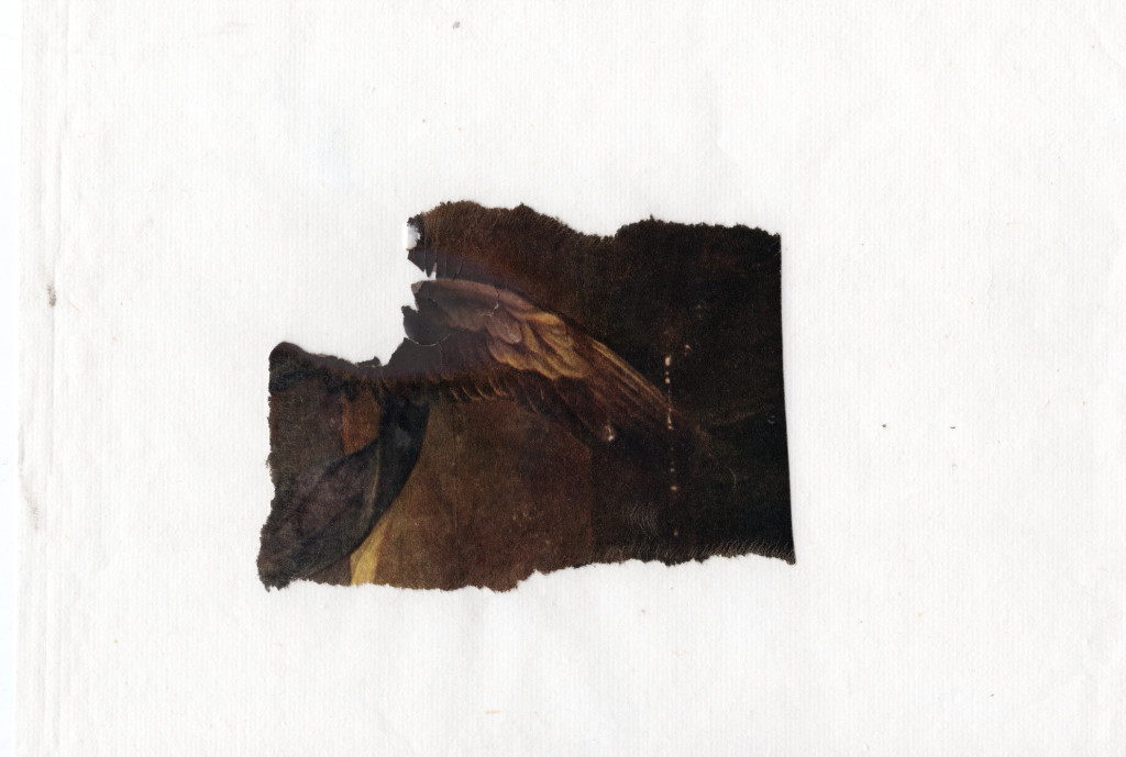 Sophie_Ko - Unburned Remains of the Image - paper - 40x30cm approx - 2014