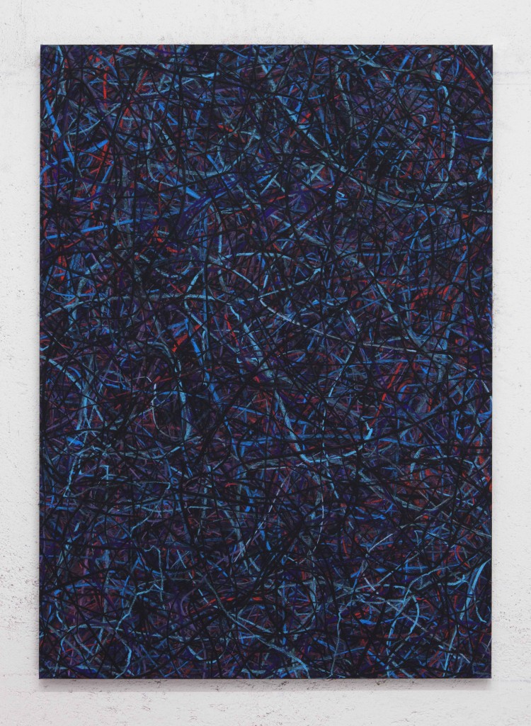 17) Untitled (Nella cava della Signora II), pastello su tela, cm 105x75, 2014