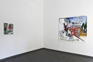 installation view, 2011, studio cannaviello, milan